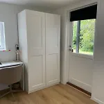 Modern And Cozy