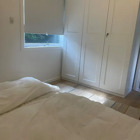 Modern And Cozy