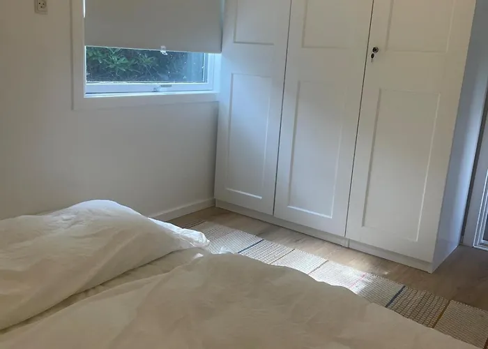 Modern And Cozy